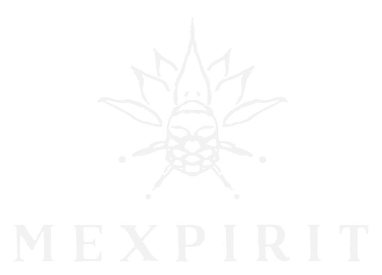 mexpirit logo