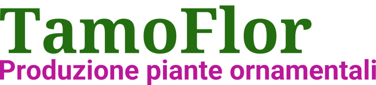 Tamoflor.it logo
