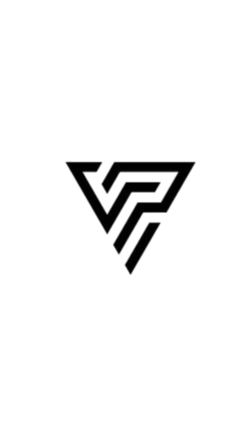 VINICIUS POLLETTI RENDER STUDIO  logo