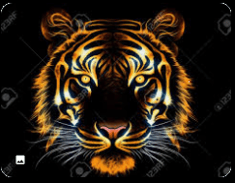 Meta Tiger TGT Selling Accelerator logo
