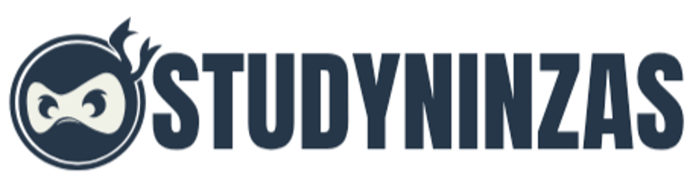 STUDYNINZAS logo