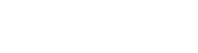 LIZY NARRO PORTAFOLIO logo