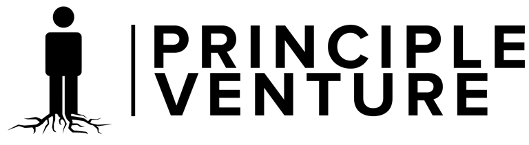 Priventure Consulting logo
