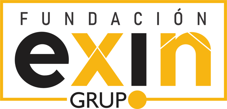 Fundación Grupo Exin logo