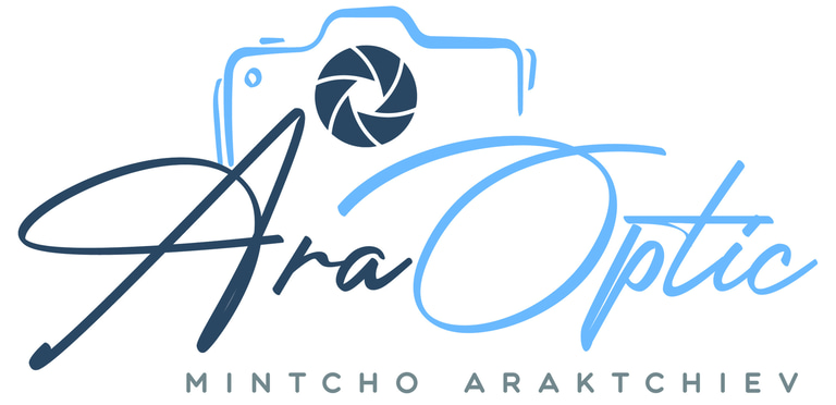ARA Optic logo