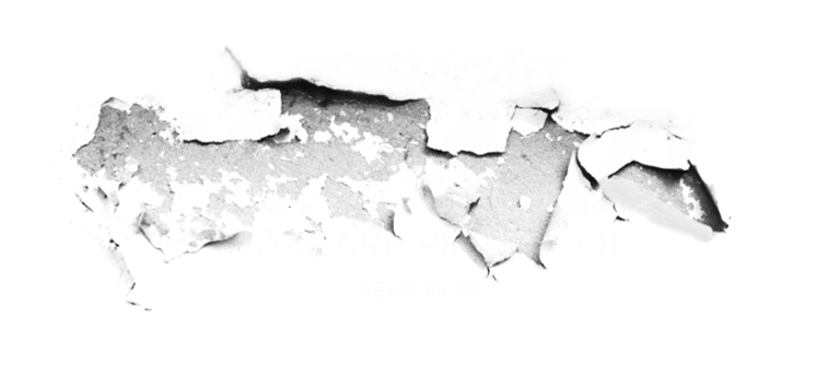 OPERAÇÃO NOMAD logo