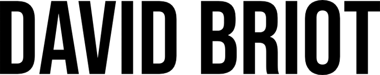 DavidBriot logo