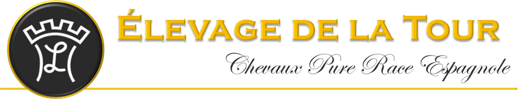 Elevage de la Tour - Chevaux Pure race espagnole logo