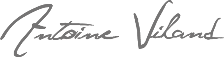 Domaine Antoine VILAND logo