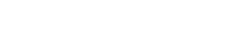 Paulo Villalta Coach logo