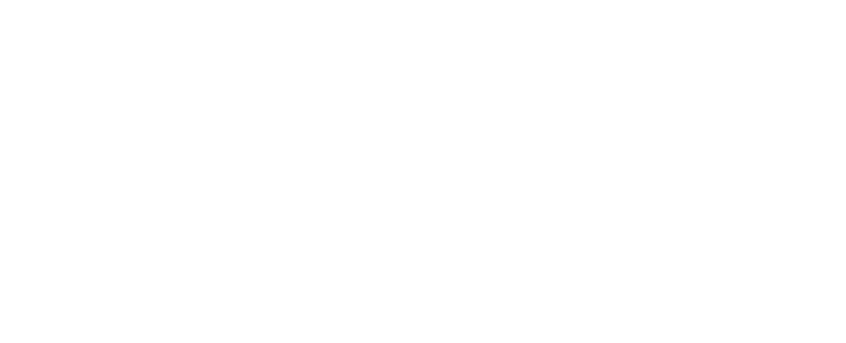 Flashhund logo