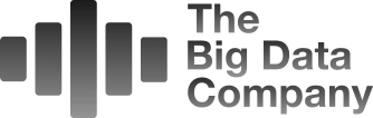 The Big Data Company logo