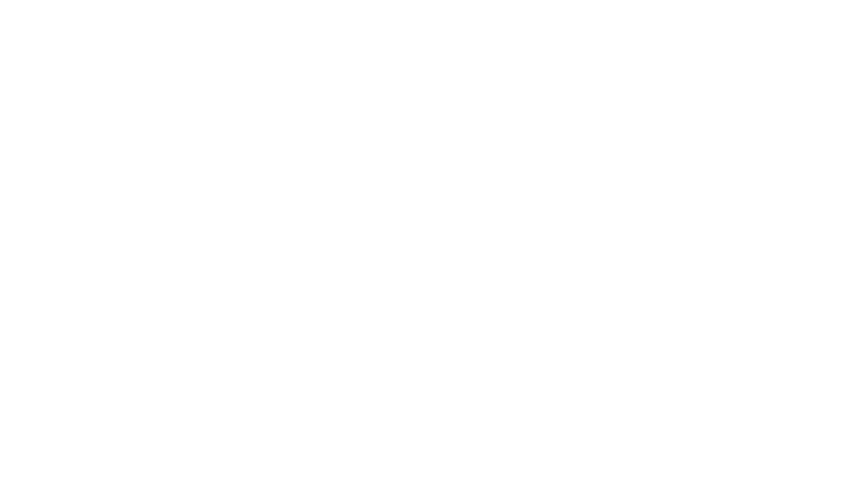Sarah Demens logo