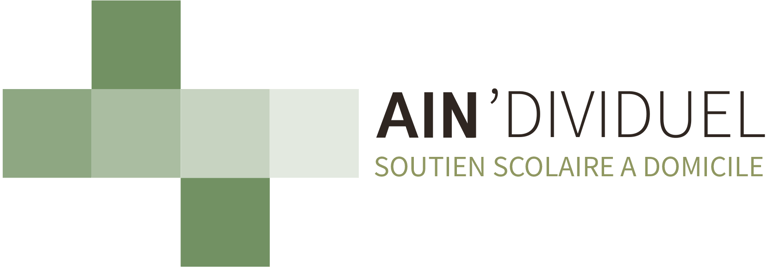 Ain'dividuel logo