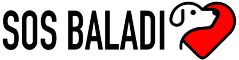 SOS BALADI logo