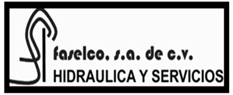 Faselco SA de CV logo