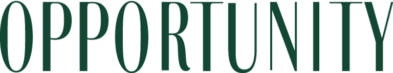 lançamentosdorio-mdan.com.br/opportunity-ofertas-saldo logo