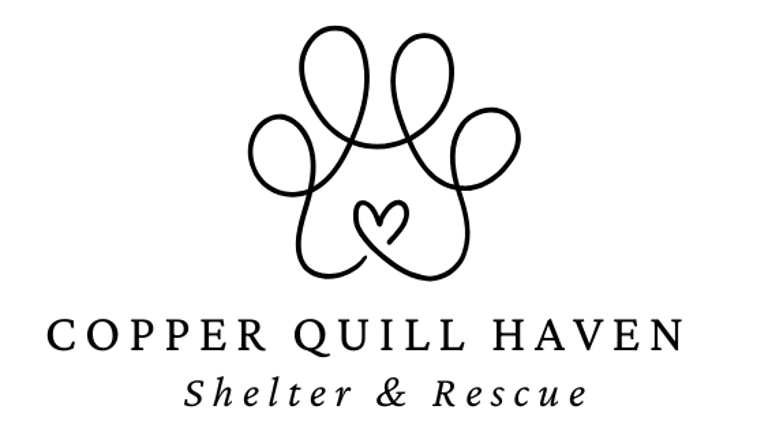 Copper Quill Haven logo
