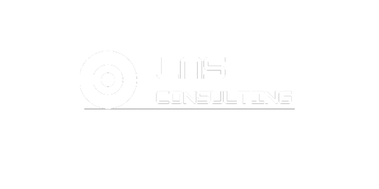 LMS CONSULTING SOLUÇOES EM TI logo