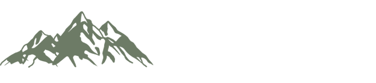 Avkanz Services logo