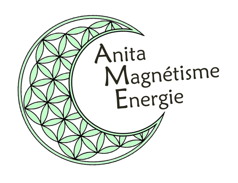 Anita Magnétisme Energie logo