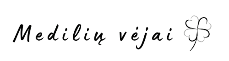 Medilių vėjai logo