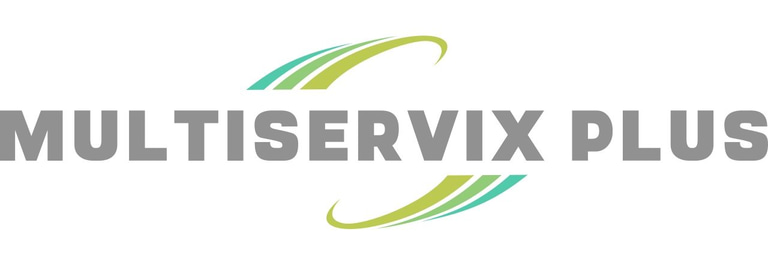 Multiservix Plus logo