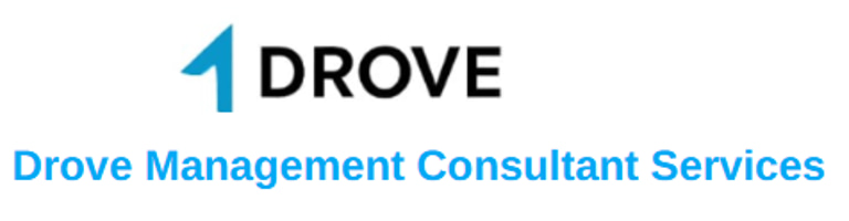 Drove Management Consultant Services logo