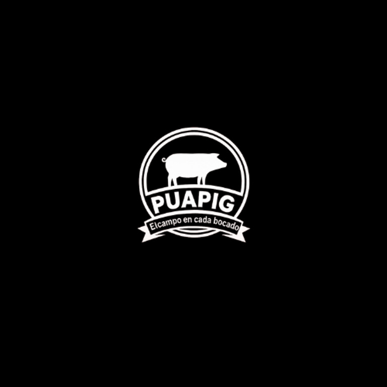 PUAPIG logo
