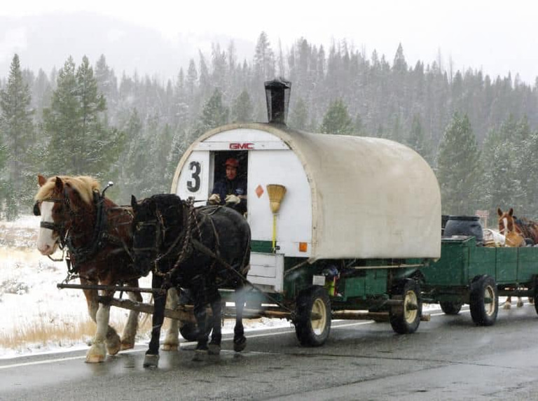 Sheep Wagon-sheep camp  logo