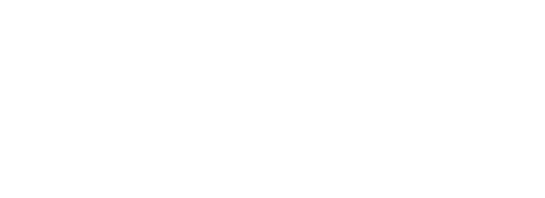Robalo Consulting logo