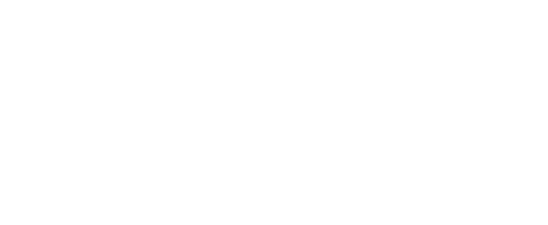 TurnPyk logo