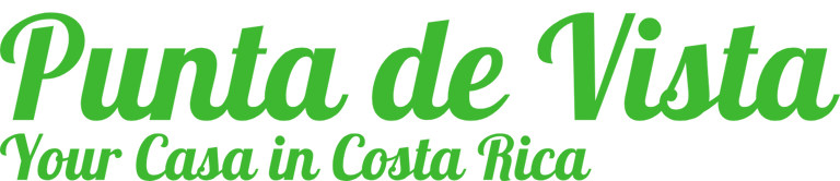 Punta de Vista logo