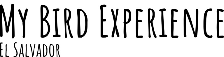 My Bird Experience logo