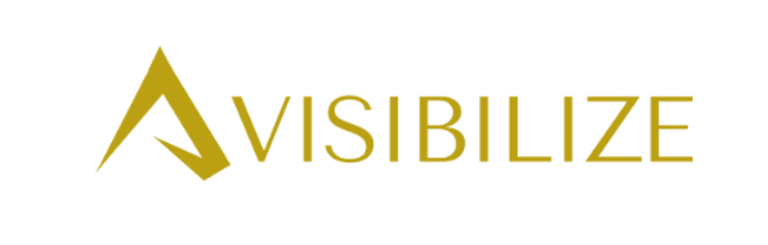 Agência Visibilize logo