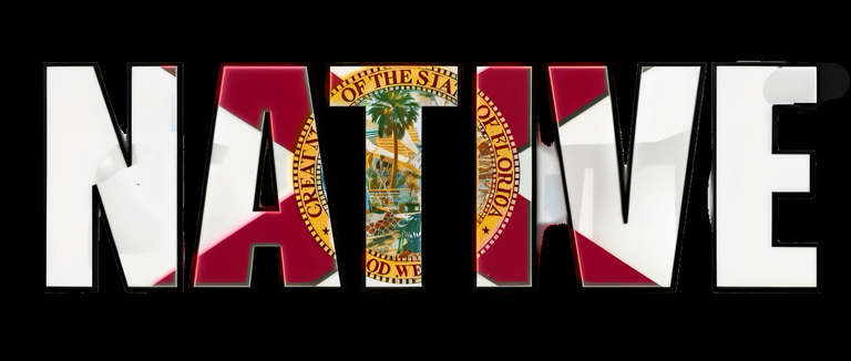 Florida boi mad hatter logo