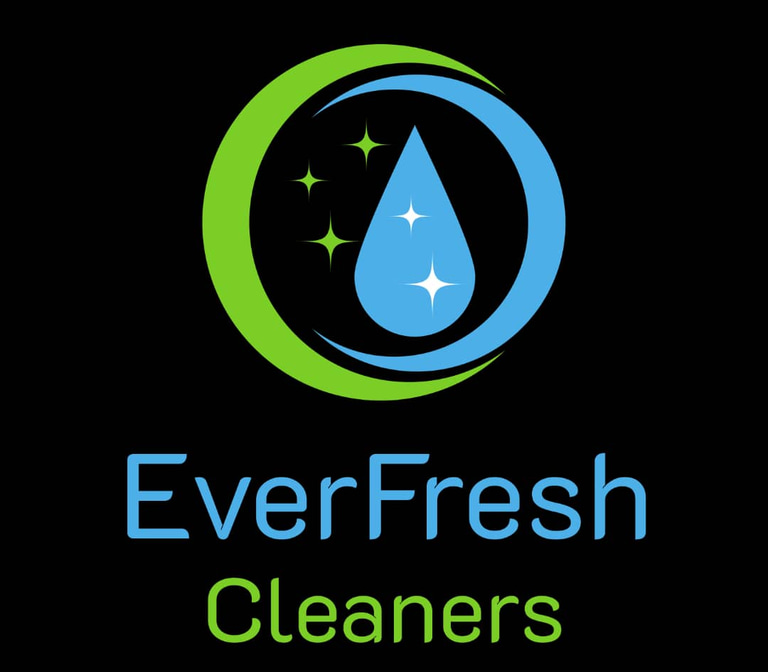 Safisana cleaners logo