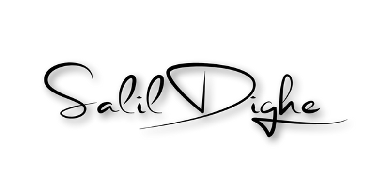 salildighe.com logo