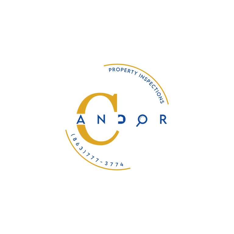 Candor Property inspections and Handyman Services logo