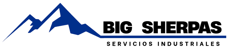 Bigshepas logo