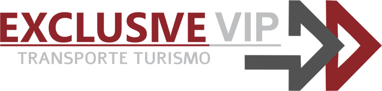 Exclusive VIP logo
