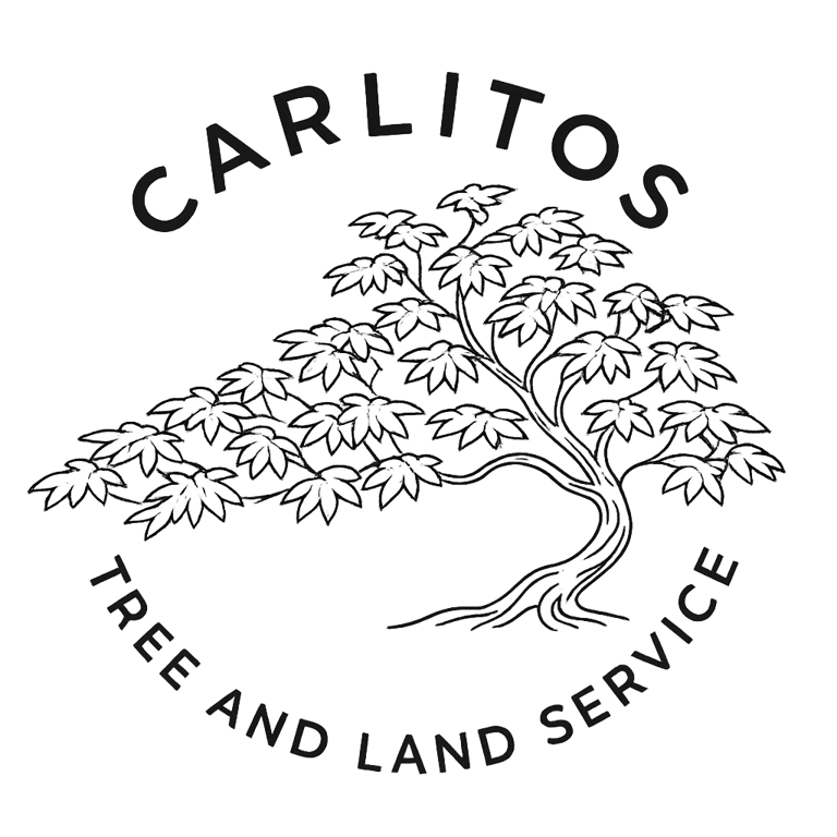 carlitos Tree and Land service logo