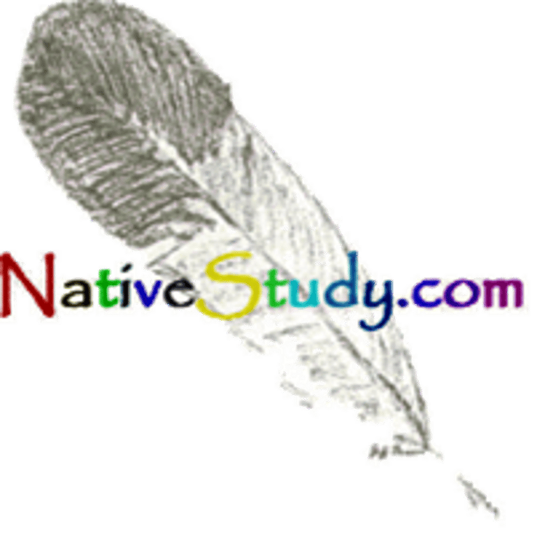 NativeStudy.com logo