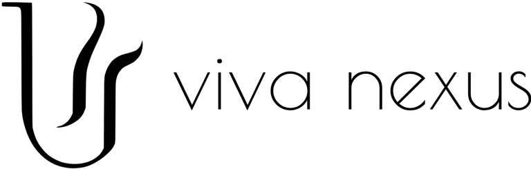 "Viva nexus" veiklos ir verslo analitika logo