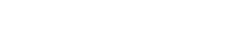 veloni logo