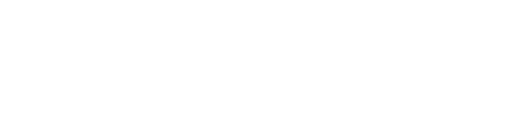 brandsnug.com logo