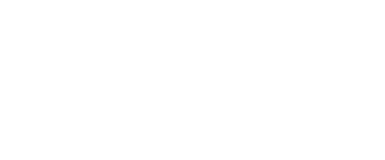 AUTO FORTE ELEVADORES logo