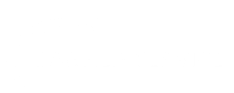 darsila service logo