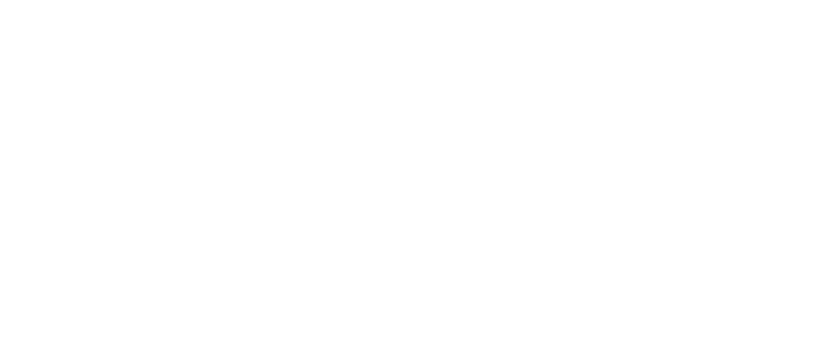 darsila service logo