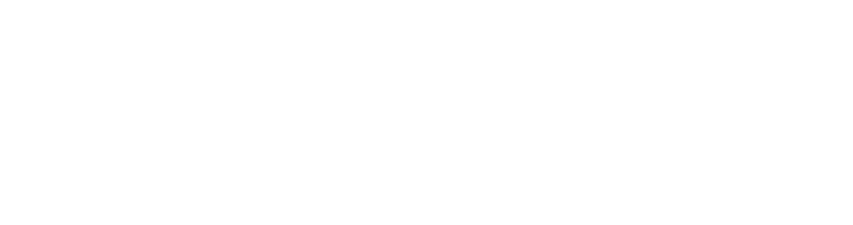 Viral Boat Media logo